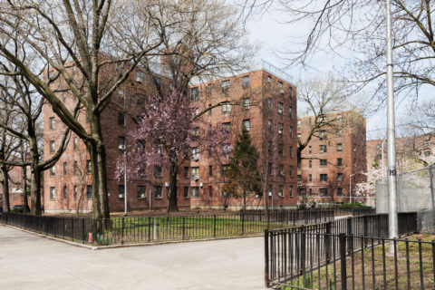 Walt Whitman Houses